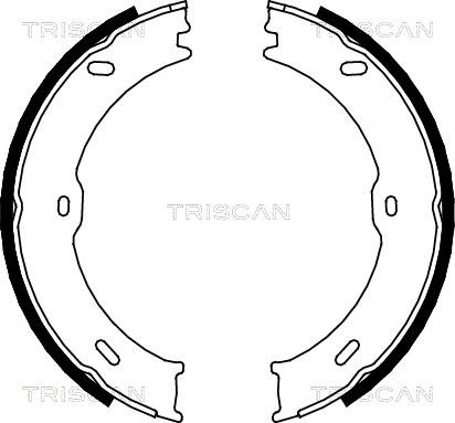 Triscan 8100 10023 - Комплект спирачна челюст vvparts.bg