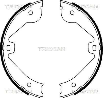 Triscan 8100 10022 - Комплект спирачна челюст vvparts.bg