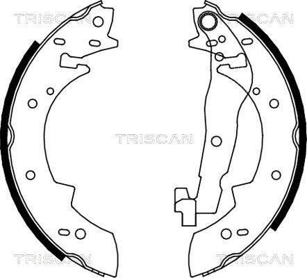 Triscan 8100 10307 - Комплект спирачна челюст vvparts.bg