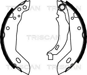 Triscan 8100 10389 - Комплект спирачна челюст vvparts.bg