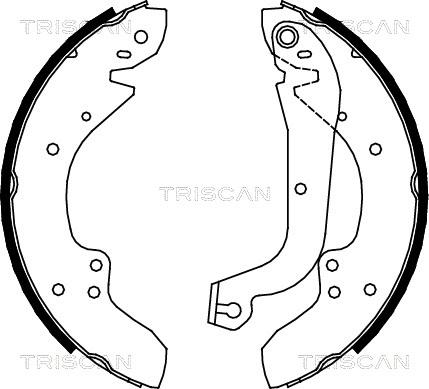 Triscan 8100 10374 - Комплект спирачна челюст vvparts.bg