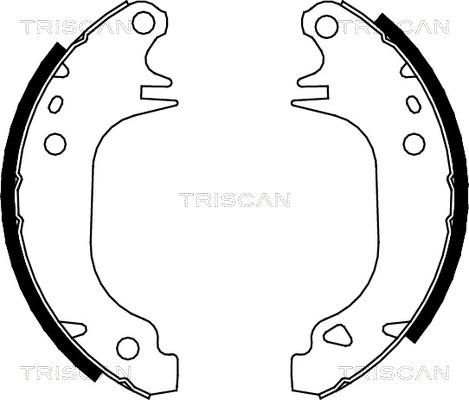 Triscan 8100 10372 - Комплект спирачна челюст vvparts.bg