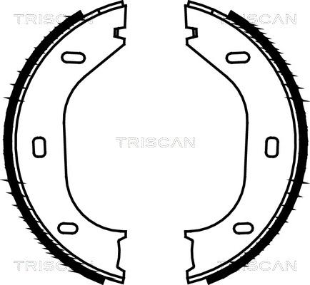Triscan 8100 10290 - Комплект спирачна челюст, ръчна спирачка vvparts.bg