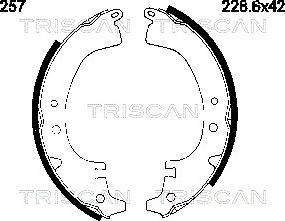 Triscan 8100 10257 - Комплект спирачна челюст vvparts.bg