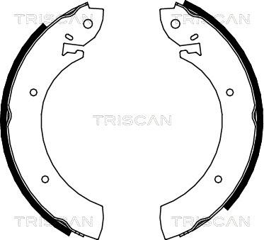 Triscan 8100 10272 - Комплект спирачна челюст vvparts.bg