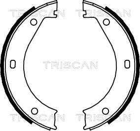 Triscan 8100 11415 - Комплект спирачна челюст, ръчна спирачка vvparts.bg