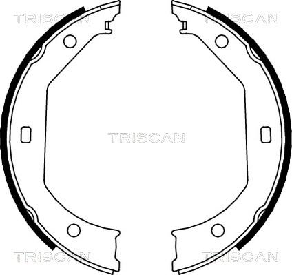 Triscan 8100 11638 - Комплект спирачна челюст vvparts.bg