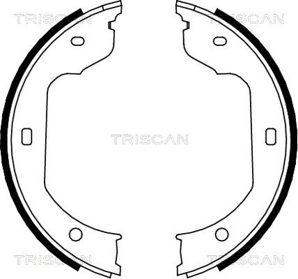 Triscan 8100 11012 - Комплект спирачна челюст vvparts.bg