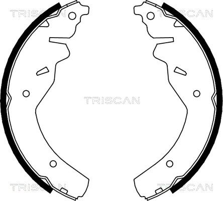 Triscan 8100 18595 - Комплект спирачна челюст vvparts.bg