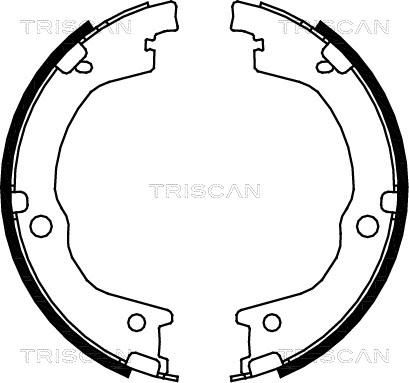 Triscan 8100 18006 - Комплект спирачна челюст vvparts.bg