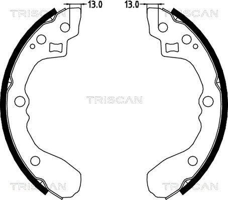 Triscan 8100 18001 - Комплект спирачна челюст vvparts.bg