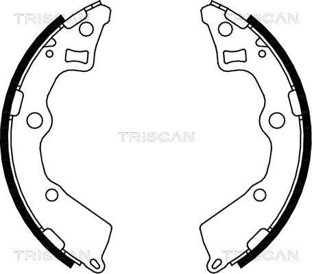 Triscan 8100 18008 - Комплект спирачна челюст vvparts.bg