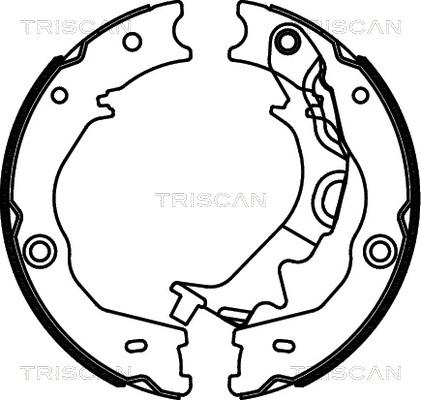 Triscan 8100 18014 - Комплект спирачна челюст, ръчна спирачка vvparts.bg