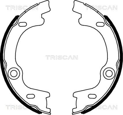 Triscan 8100 18010 - Комплект спирачна челюст, ръчна спирачка vvparts.bg