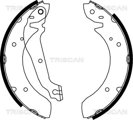 Triscan 8100 18013 - Комплект спирачна челюст vvparts.bg