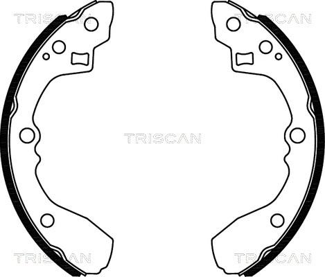 Triscan 8100 18012 - Комплект спирачна челюст vvparts.bg