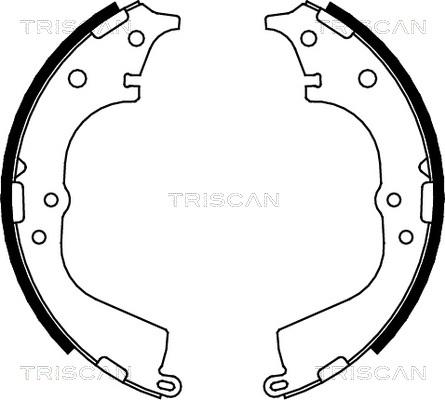 Triscan 8100 13591 - Комплект спирачна челюст vvparts.bg