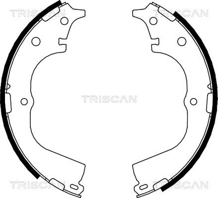 Triscan 8100 13557 - Комплект спирачна челюст vvparts.bg