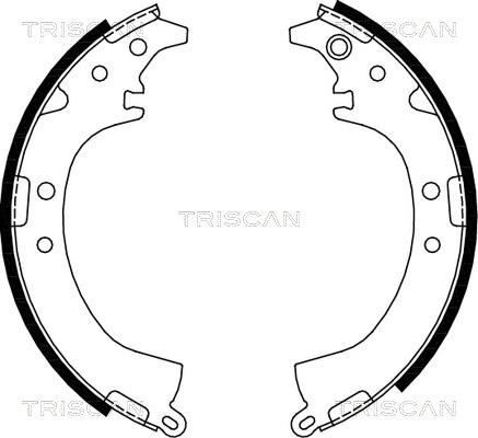 Triscan 8100 13569 - Комплект спирачна челюст vvparts.bg