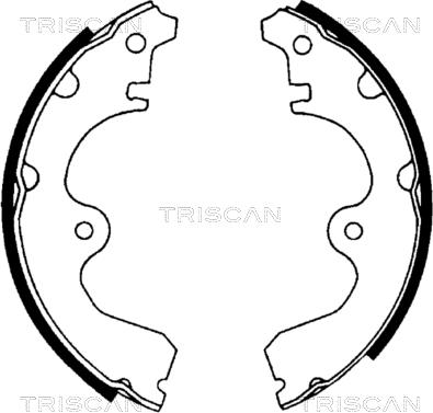 Triscan 8100 13534 - Комплект спирачна челюст vvparts.bg