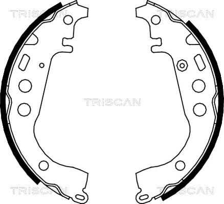 Triscan 8100 13617 - Комплект спирачна челюст vvparts.bg