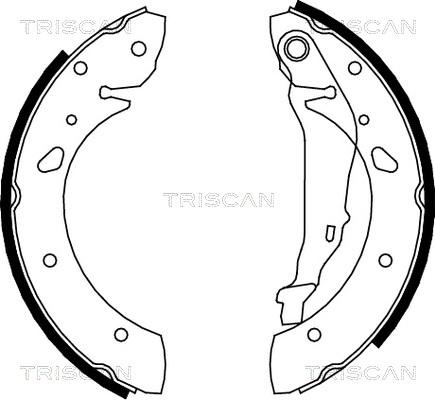 Triscan 8100 13624 - Комплект спирачна челюст vvparts.bg