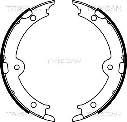 Triscan 8100 13045 - Комплект спирачна челюст, ръчна спирачка vvparts.bg