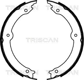 Triscan 8100 13046 - Комплект спирачна челюст, ръчна спирачка vvparts.bg