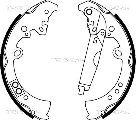 Triscan 8100 13040 - Комплект спирачна челюст vvparts.bg