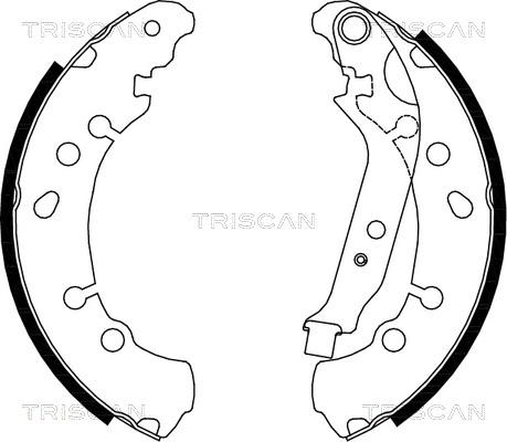 Triscan 8100 13048 - Комплект спирачна челюст vvparts.bg