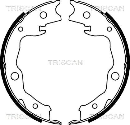 Triscan 8100 13042 - Комплект спирачна челюст vvparts.bg