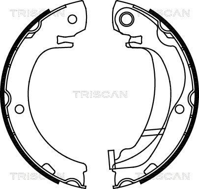 Triscan 8100 13047 - Комплект спирачна челюст, ръчна спирачка vvparts.bg