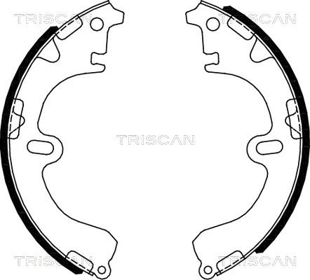 Triscan 8100 13051 - Комплект спирачна челюст vvparts.bg