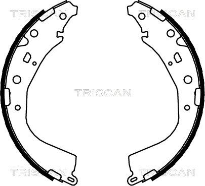 Triscan 8100 13053 - Комплект спирачна челюст vvparts.bg