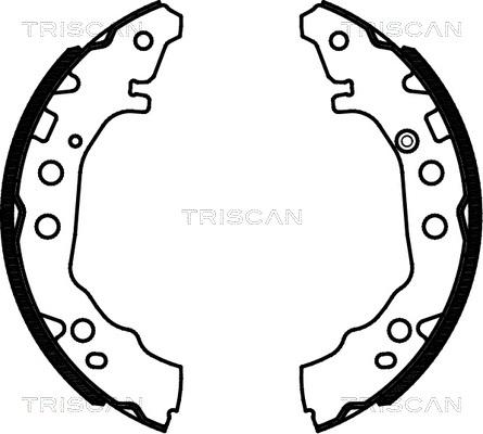 Triscan 8100 13052 - Комплект спирачна челюст vvparts.bg