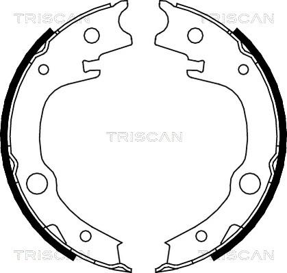 Triscan 8100 13039 - Комплект спирачна челюст, ръчна спирачка vvparts.bg