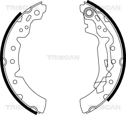 Triscan 8100 13031 - Комплект спирачна челюст vvparts.bg