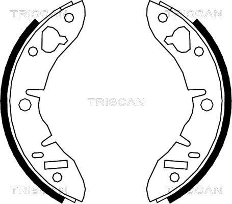 Triscan 8100 17003 - Комплект спирачна челюст vvparts.bg