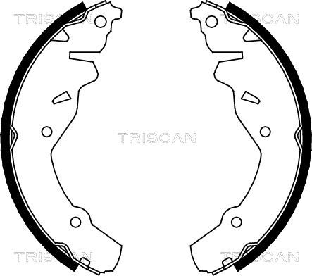 Triscan 8100 80002 - Комплект спирачна челюст vvparts.bg