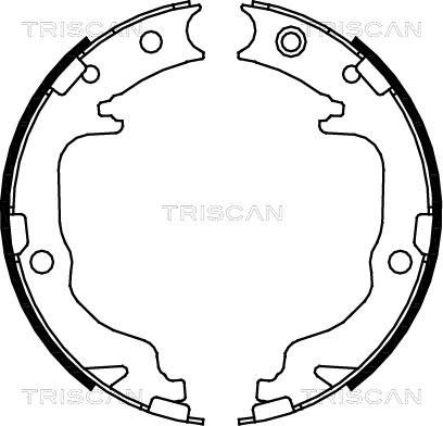 Triscan 8100 80010 - Комплект спирачна челюст, ръчна спирачка vvparts.bg