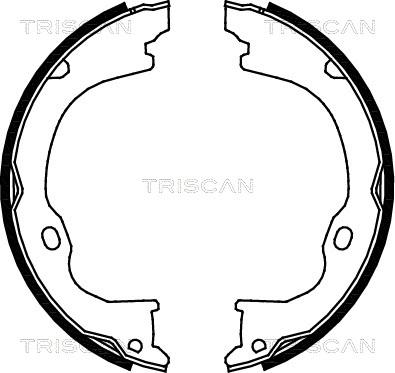 Triscan 8100 80011 - Комплект спирачна челюст, ръчна спирачка vvparts.bg