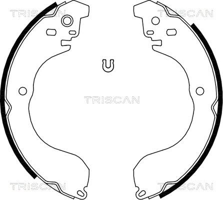 Triscan 8100 80017 - Комплект спирачна челюст vvparts.bg