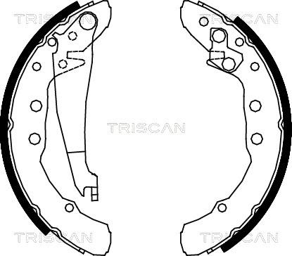 Triscan 8100 29530 - Комплект спирачна челюст vvparts.bg