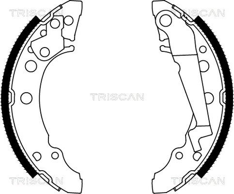 Triscan 8100 29001 - Комплект спирачна челюст vvparts.bg