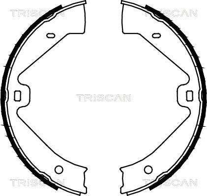 Triscan 8100 29002 - Комплект спирачна челюст, ръчна спирачка vvparts.bg