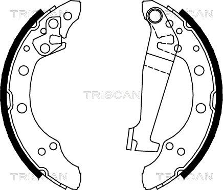 Triscan 8100 29345 - Комплект спирачна челюст vvparts.bg