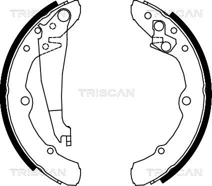 Triscan 8100 29343 - Комплект спирачна челюст vvparts.bg