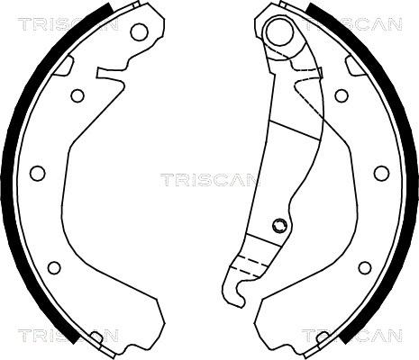 Triscan 8100 24409 - Комплект спирачна челюст vvparts.bg