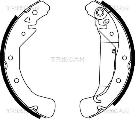 Triscan 8100 24589 - Комплект спирачна челюст vvparts.bg