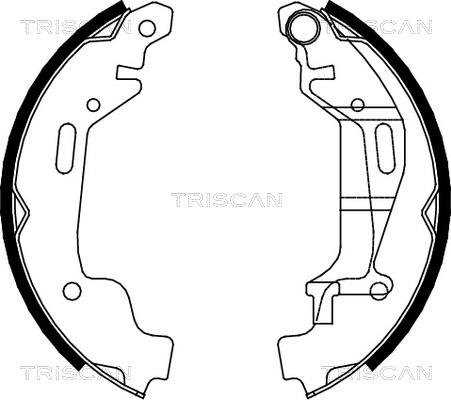 Triscan 8100 24001 - Комплект спирачна челюст vvparts.bg